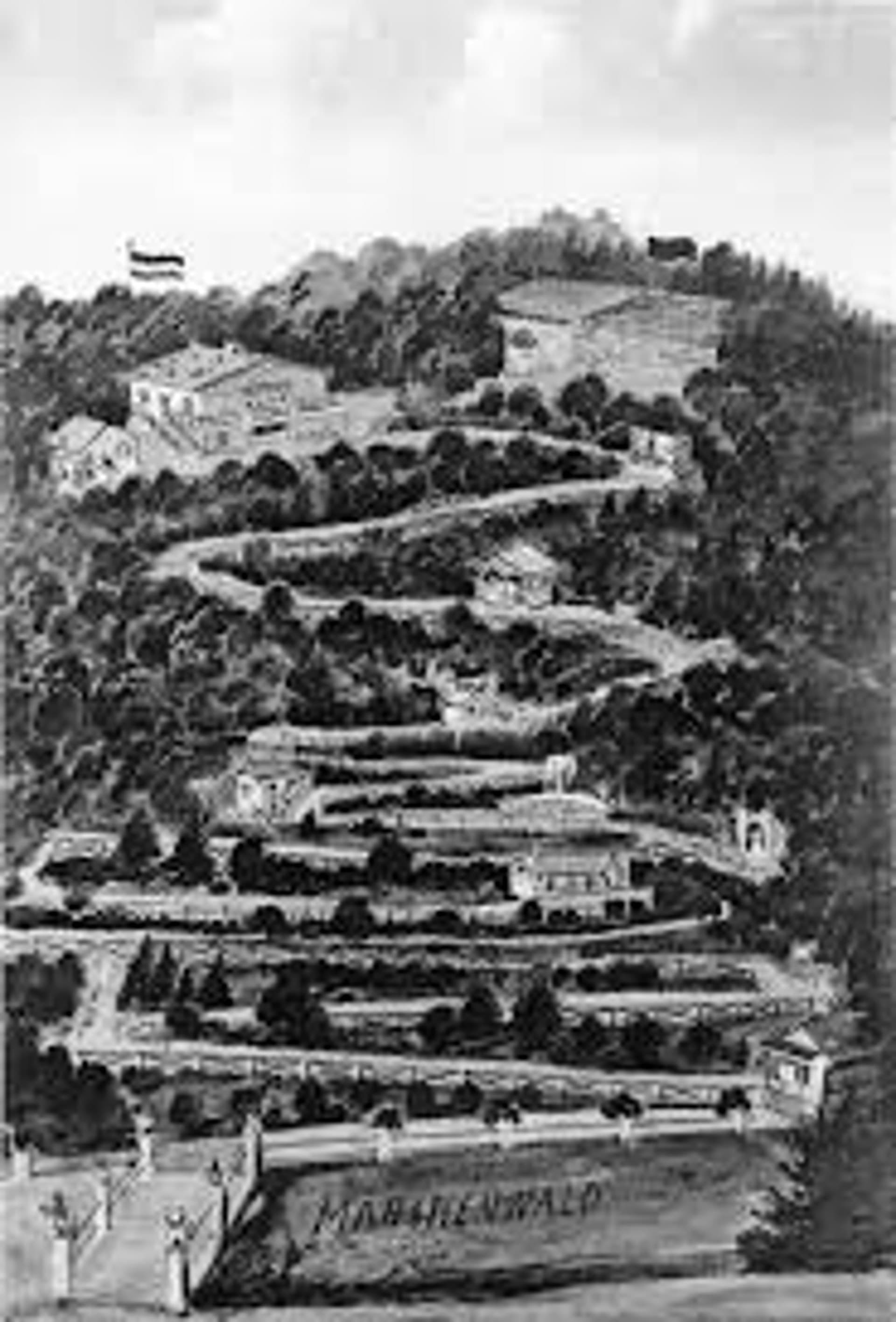 Blick in den Märchenwald Bad Breisig
